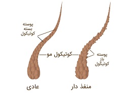 تشخیص مو در ورکشاپ آموزشی کراتینه مو شیراز